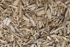 biomass boilers Forest Head